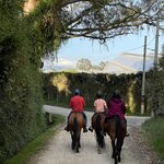 Photo taken by Nicole G