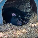 Photo taken by Jennifer H