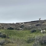 Photo taken by Caner K