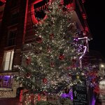 Photo taken by Paulette C