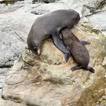 Photo taken by Lisa S