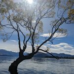 Photo taken by Jessica V