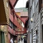 Photo taken by Susan K