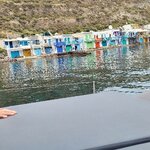 Photo taken by SHOSHANA S