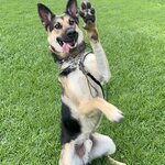 Photo taken by Debbie W