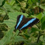 Photo taken by Steven M