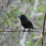 Photo taken by Patricia D