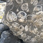 Photo taken by Seth D