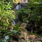 Photo taken by Mary D