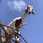 Photo taken by Cynthia F