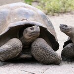 Photo taken by mindy n