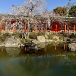 Photo taken by Ana W