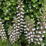 Photo taken by Carmen P