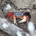 Photo taken by Cathy T