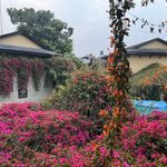 Photo taken by Marianne O