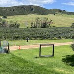 Photo taken by Dan U