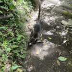 Photo taken by Les A