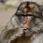 Photo taken by Indra S