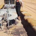 Photo taken by Dermott M