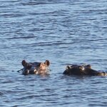 Photo taken by Kaye D