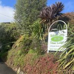 Photo taken by Walt N