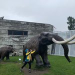 Glacier Museum in Fjærland  | Photo taken by Jessica H