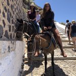 Photo taken by Janelle M