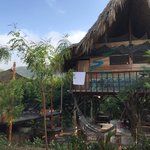 Photo taken by Martha V