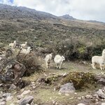 Photo taken by martin M