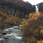 Svartifoss | Photo taken by Marisa K