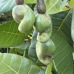 Photo taken by Robin W