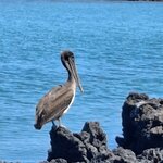 Photo taken by Jayme B