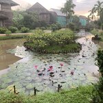 Photo taken by Ricky B