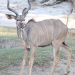 Photo taken by John B