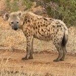 Photo taken by Paul B