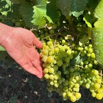 Photo taken by Duanni H