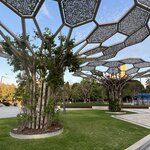 Photo taken by Rosemary S