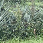 Photo taken by Alexia M