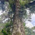 Photo taken by Karen C