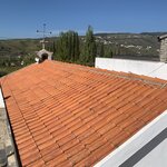 Photo taken by Dee C