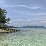 Photo taken by Shaula L