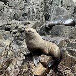 Photo taken by Jennifer H