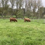 Photo taken by Frank L