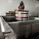 Photo taken by Dee C