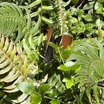 Photo taken by Jaya C