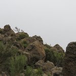 Photo taken by Kristin M