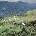 Photo taken by Victoria C