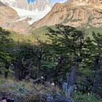 Photo taken by Arnie S