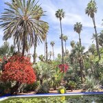 Photo taken by Patricia O