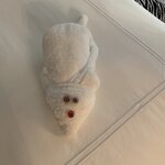 Photo taken by Donna G